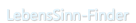 &nbsp;LebensSinn-Finder