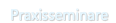 &nbsp;Praxisseminare